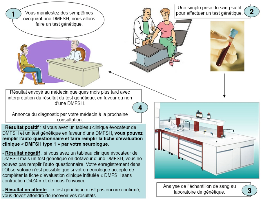 Le test Génétique